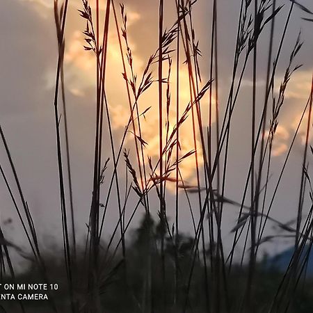 Le Gite D'Olympe Cordes Sur Ciel Luaran gambar